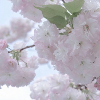 Furry插画色彩搭配兽圈社群